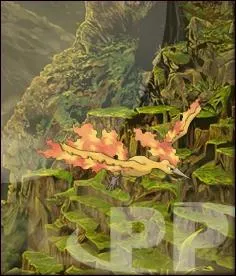 Quel est ce Pokmon ?