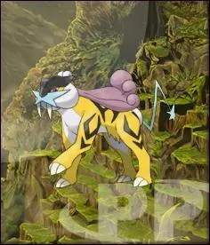 Quel est ce Pokmon ?