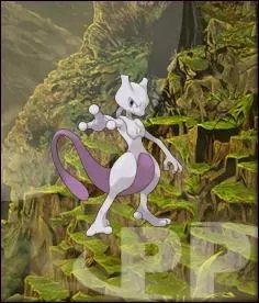 Quel est ce Pokmon ?