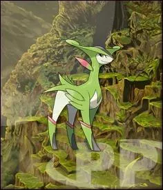 Quel est ce Pokmon ?