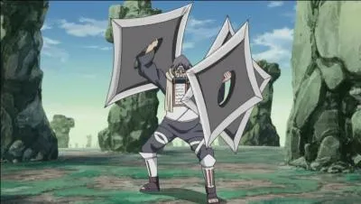 L'art d'utiliser le magntisme est le :