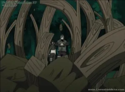 L'art d'utiliser le bois est le :