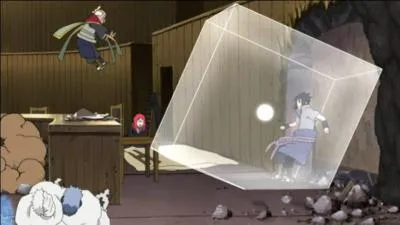 L'art d'utiliser la poussire est le :