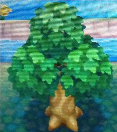 Quel fruit n'existe pas ?