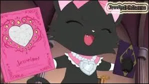 A quoi sert le livre des bijoux ?