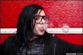 Avec quel artiste Skrillex n'a-t-il jamais collabor ?