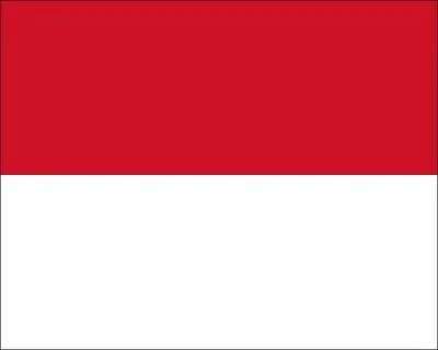 À quel pays correspond ce drapeau ?