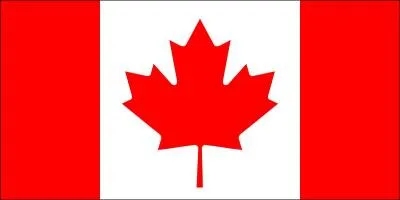 À quel pays correspond ce drapeau ?