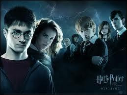 Combien y a-t-il de films  Harry Potter  ?