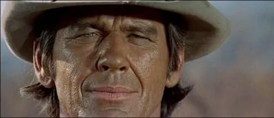 De quel instrument joue Charles Bronson dans le film  Il tait une' fois dans l'ouest  ?