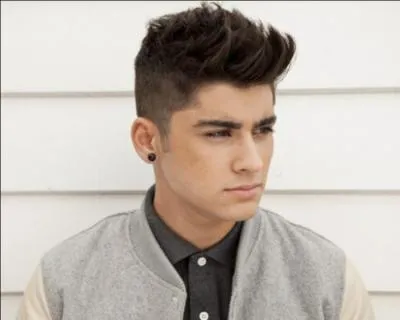 D'o Zayn tient-il ses origines pakistanaises ?