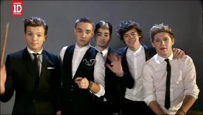 Quel est le dernier clip qu'ils ont sorti en janvier 2013 ?