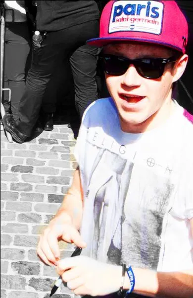 Quel est le nom complet de Niall ?