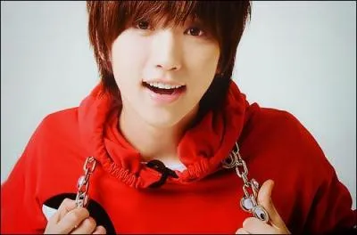 Qui est le leader vocal ?