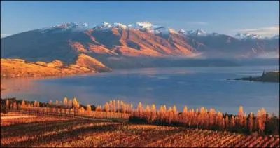 le situe en Ocanie, notre reine est lisabeth II. J'abrite l'quipe de rugby les  All Blacks , je suis :