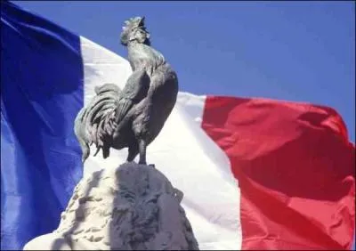 Nous restons en France avec un emblme bien connu, le coq ! Savez-vous pourquoi le coq est devenu un emblme de la France ?