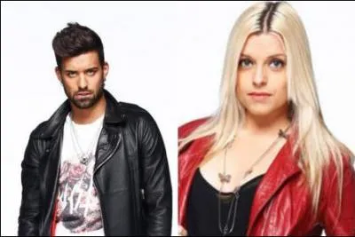 Dans la maison, qui ont imit� Vincent et Alexia de mani�re exag�r�e ?