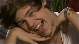 Comment appellent-on les   fans   des 1D ?