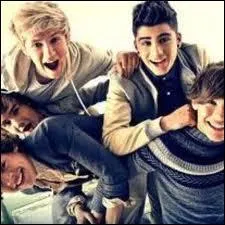 Le meilleur ami de Zayn Malik est ?