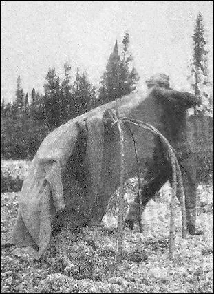 Parmi les pratiques spirituelles de la tribu prcdente, il y avait : La tente tremblante et aussi :