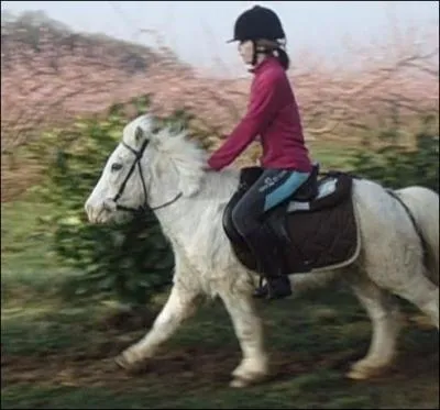 Au galop, on peut tenir le pommeau de la selle.
