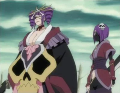 Le zanpakuto de Shunsui Kyoraku fait partie des deux seuls  pouvoir se ddoubler :