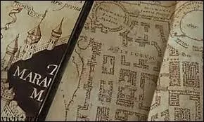 Dans la carte du Maraudeur, lequel des inventeurs de cette carte dit au professeur Rogue qu'il est   un horrible crtin   ?