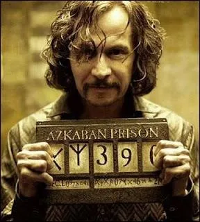 En quoi peut se transformer Sirius Black ?