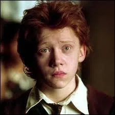 Quel animal Sirius offre-t-il  Ron pour lui avoir caus la perte de son rat ?