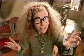 Comment s'appelle le professeur de divination ?