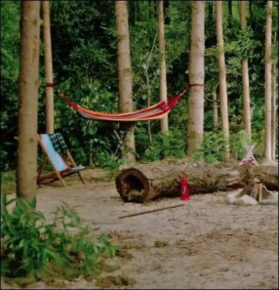 Dans quel MV apparait cette image ?