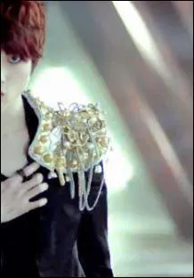 Dans quel MV apparait cette image ?