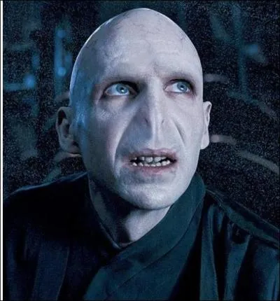 Pourquoi Voldemort est-il devenu moche ?