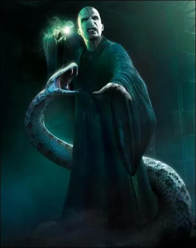 Qui est Voldemort ?