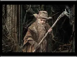 Qui est ce drle magicien ?