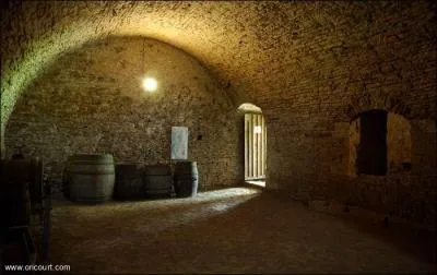 Les nazis mirent le paquet sur les caves et les souterrains du lieu. Que voulaient-ils y faire ?