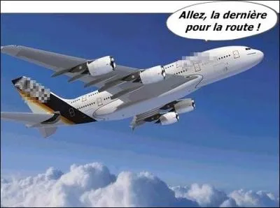 On a entendu a :  Mesdames et messieurs, la section fumeurs de ce vol se trouve sur l'aile droite. Si vous russissez  allumer votre cigarette, vous pourrez la fumer. 