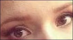 Et ces yeux bruns,  qui pourraient-ils tre ?