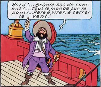 Qui suis-je pour le Capitaine Haddock ?