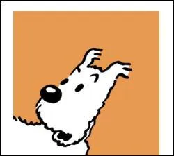 Comment s'appelle son chien ?