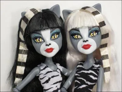 Comment s'appellent ces deux  Monster High  ?