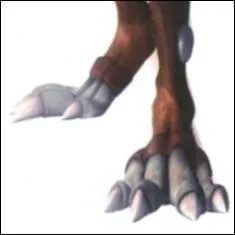 De bons pieds pour danser.