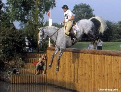 Quel est le nom de cet obstacle ?