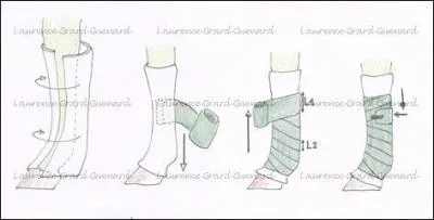 Que voyez-vous sur cette image ?