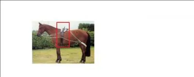 Comment s'appelle cette protection de transport ?