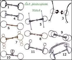 Quels sont les noms des mors 3, 6, 7, 8, 9, 10, 11 et 12 ?