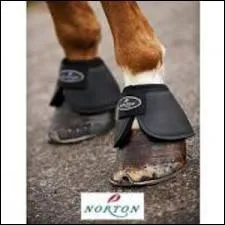 Quelle est cette protection ?