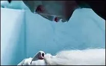 Quand Dumbledore meurt-il ?