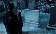 Quand Sirius Black meurt-il ?