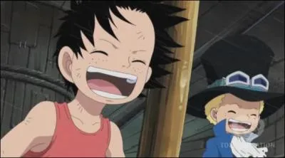 Qui sont les deux  frres  de Luffy ?